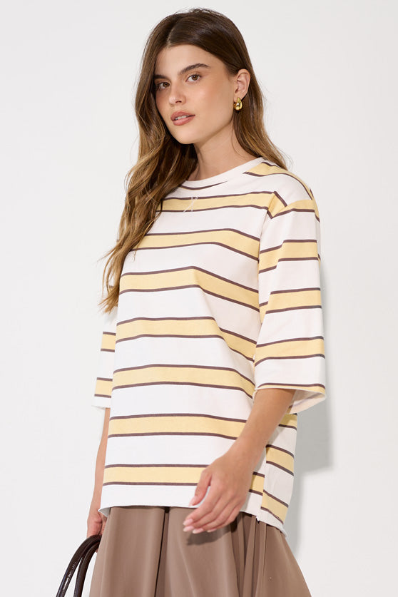 Embroidered striped shirt
